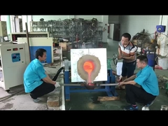 Máquina de derretimento da indução industrial para o paládio da platina do ouro